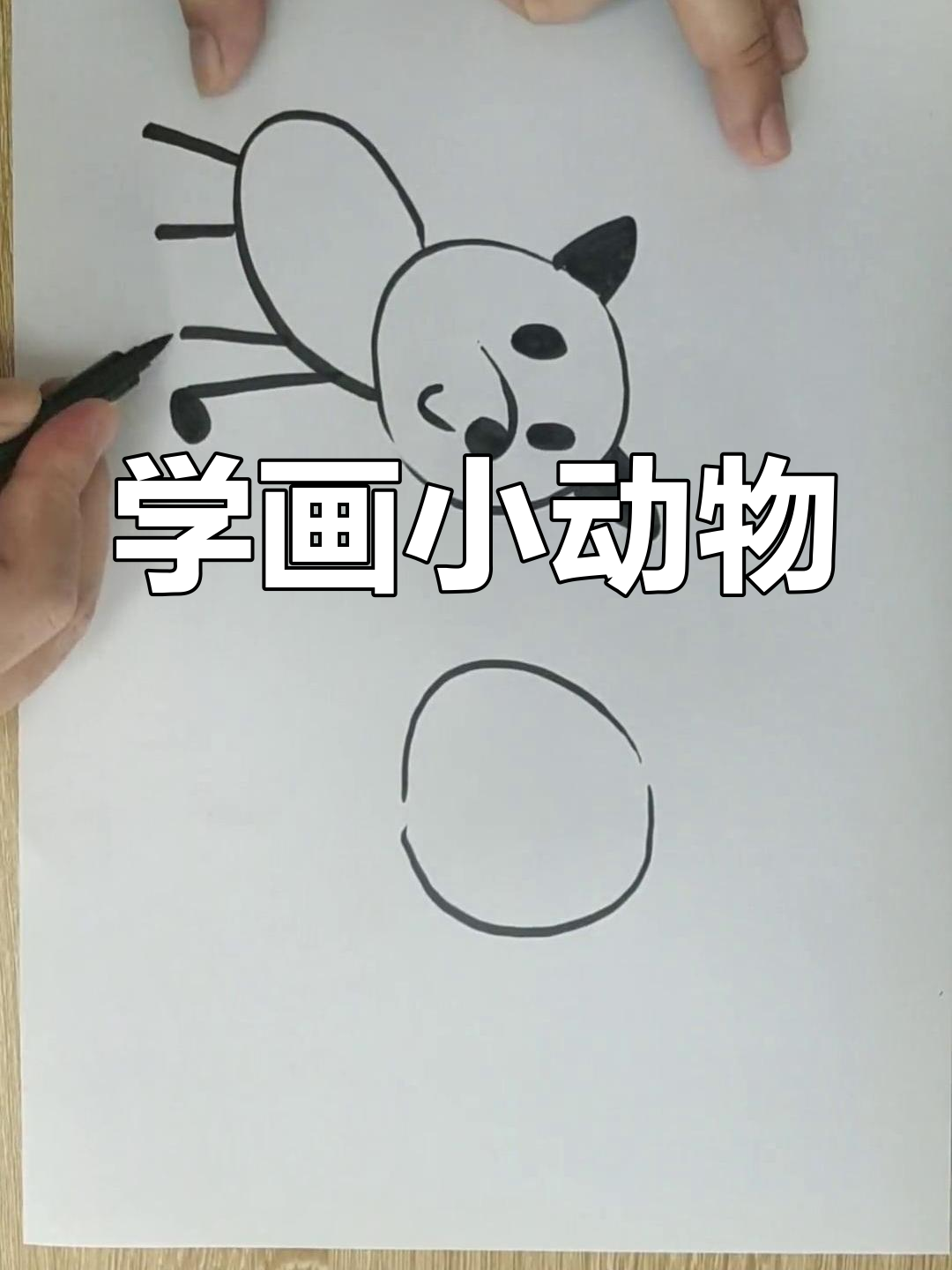 教孩子画小猫小狗简笔画