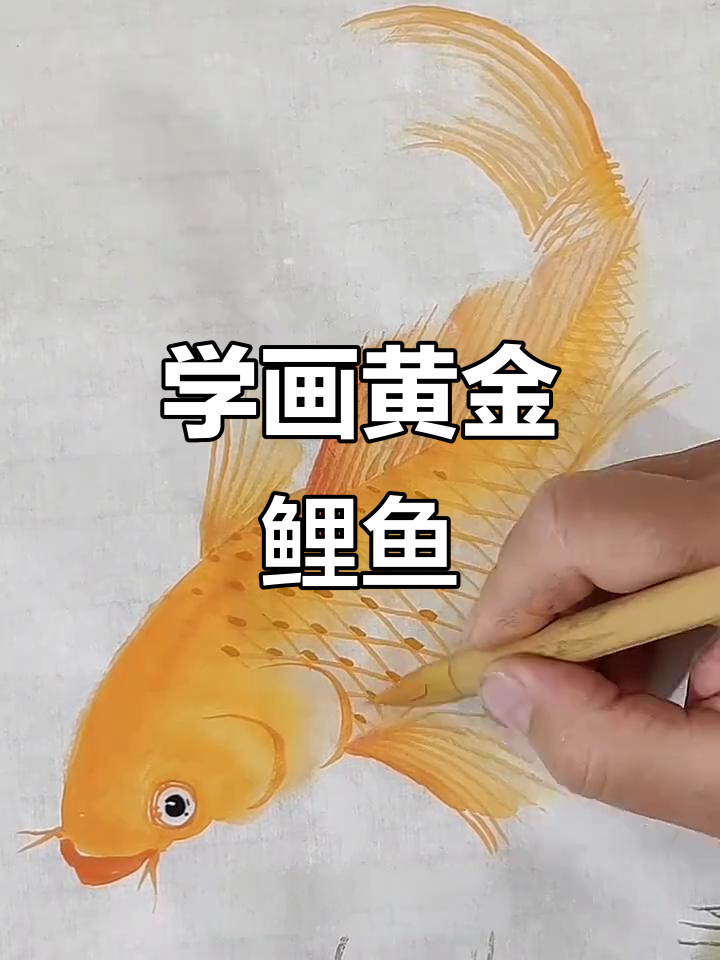 黄金鲤鱼画法,简单又好看