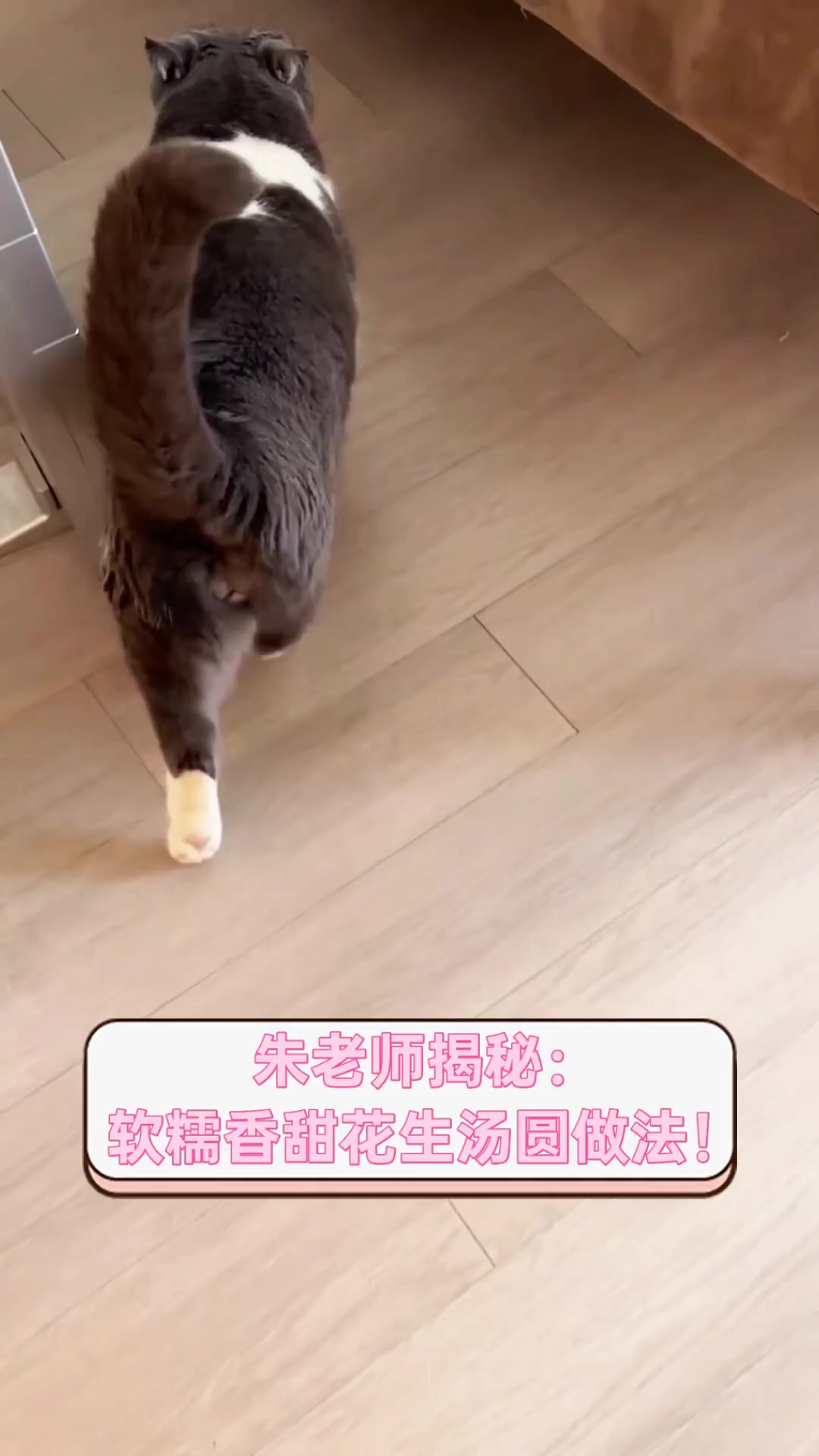 朱老师揭秘:软糯香甜花生汤圆做法!