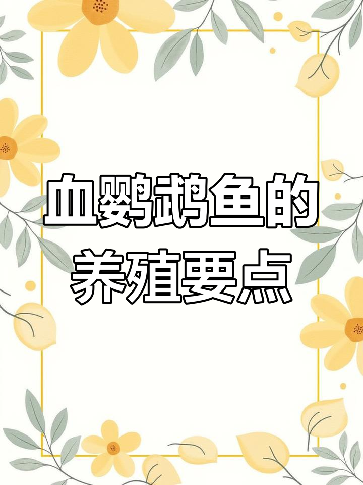 血鹦鹉鱼:人工杂交的可爱观赏鱼,了解它的特点与养护技巧