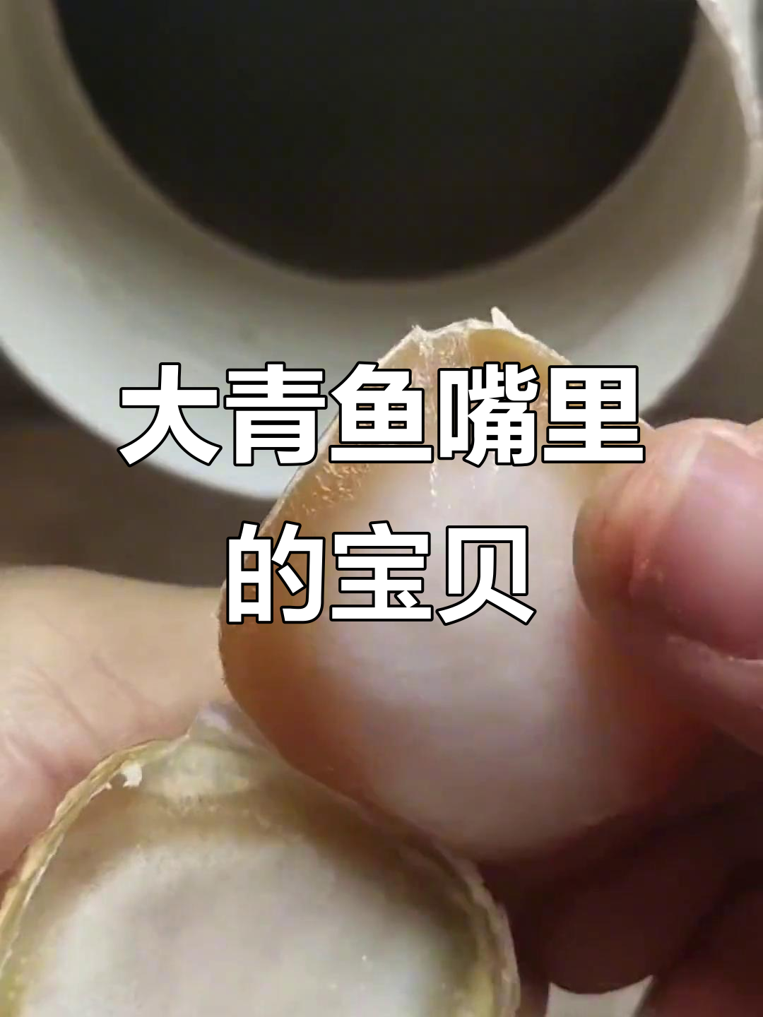 青鱼石:活玉般的秘密,竟藏在大青鱼的嘴里