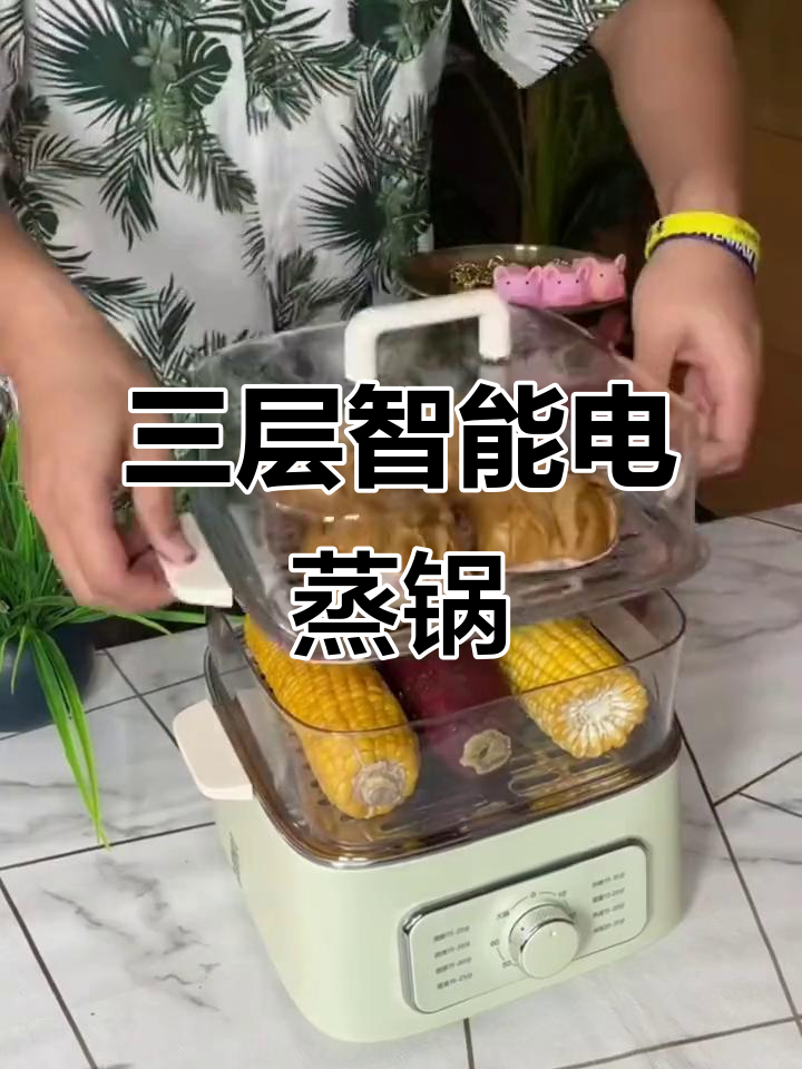 苏泊尔电蒸锅,智能防烧干功能,三层设计更实用