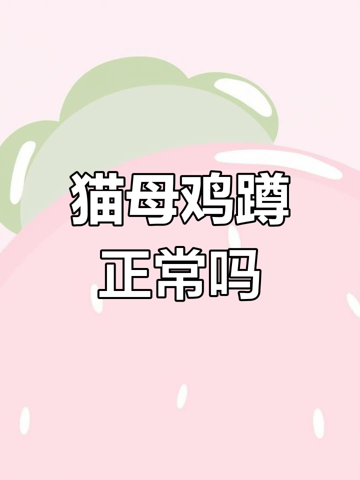 猫咪母鸡蹲是正常现象,还是生病了?