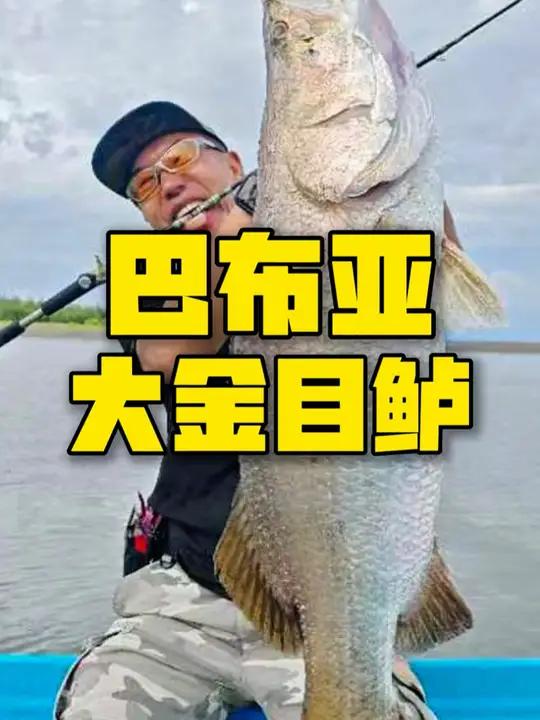 突然就不淡定了……继续认真钓鱼 巴布亚是个值得来很多次的地方