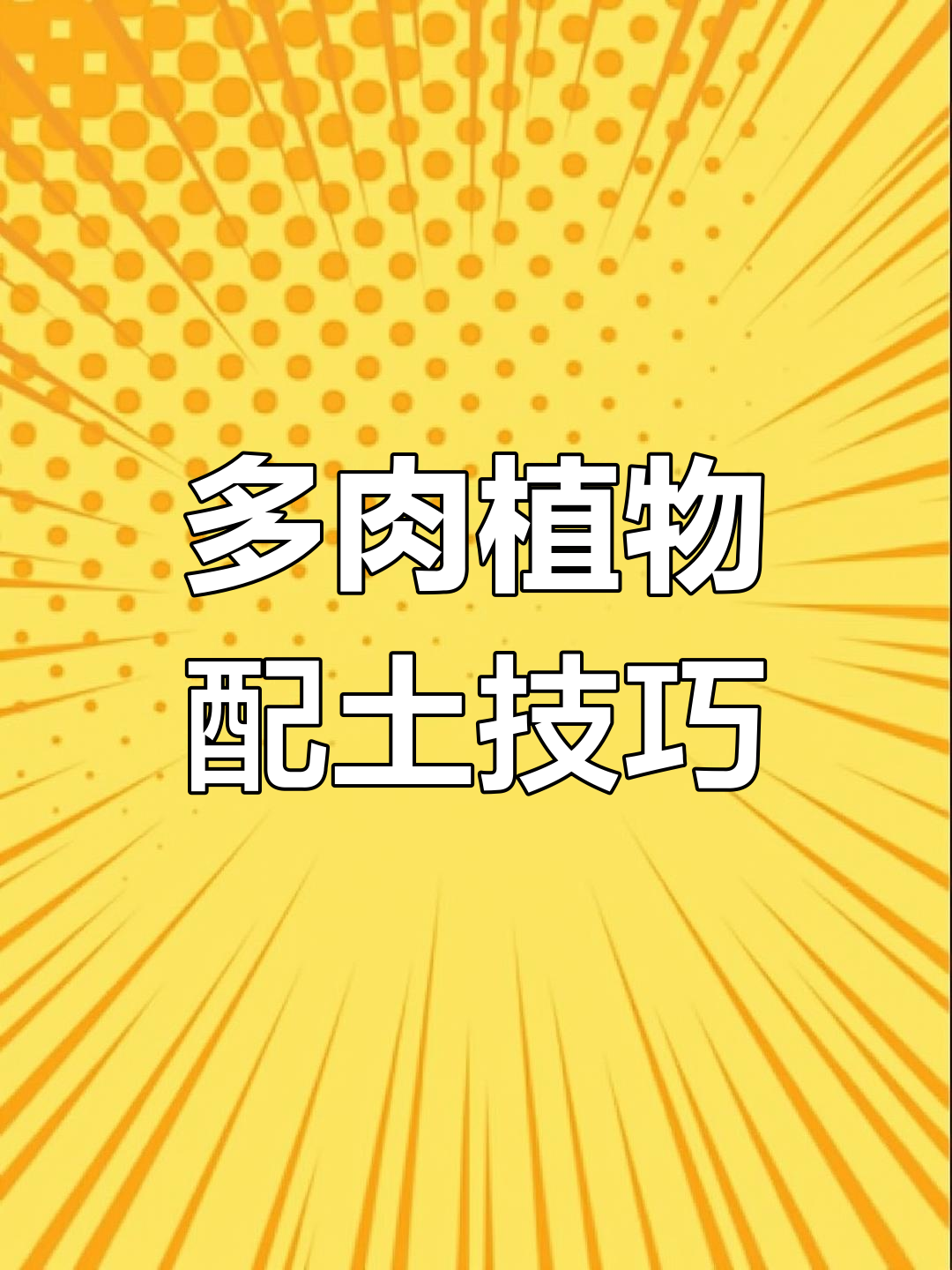 薄叶厚叶多肉植物配土指南,颗粒比例如何选择更安全