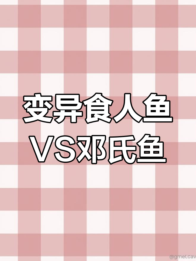 变异食人鱼挑战邓氏鱼,攻击力暴增!
