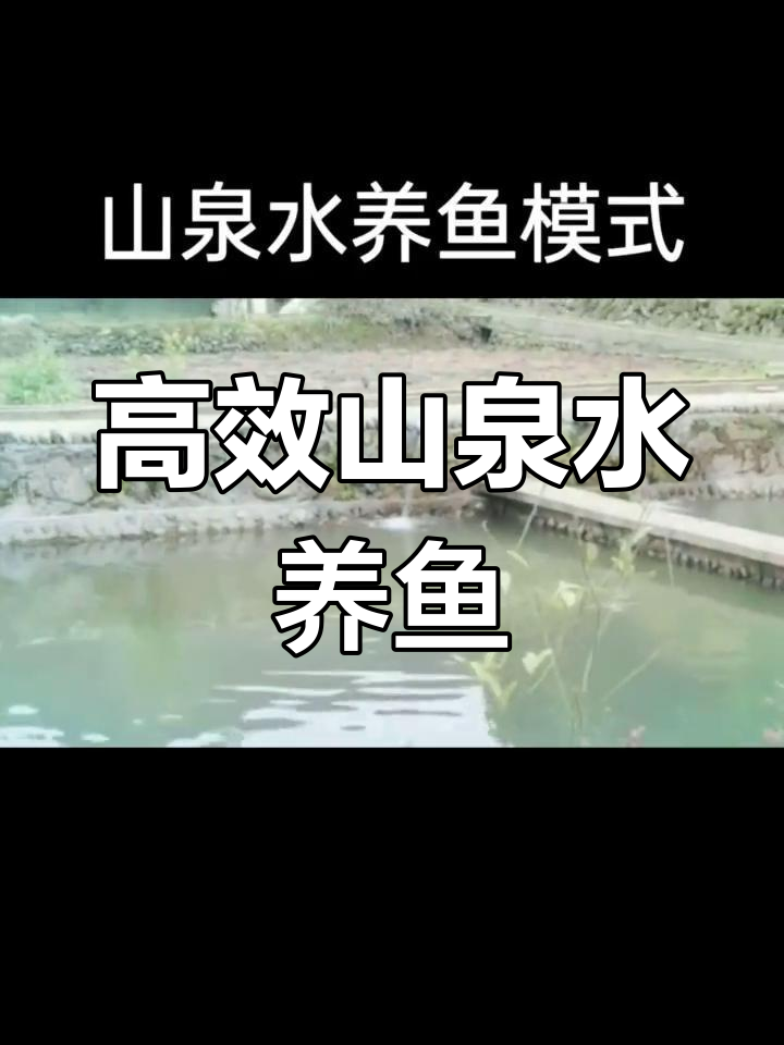 山泉水池养殖模式,提升鱼质与密度