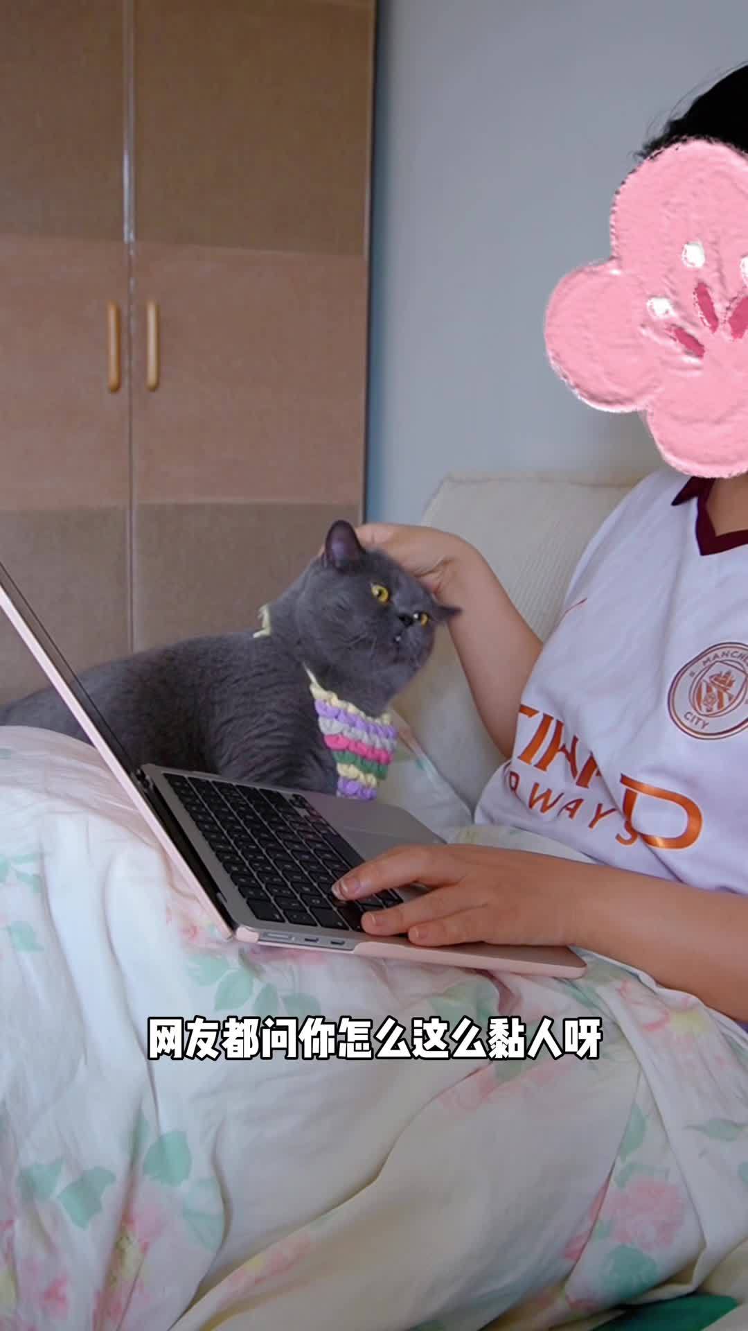 嘎嘣脆的小鱼干,猫猫我一口一个一口一个 萌宠好物 宠物零食