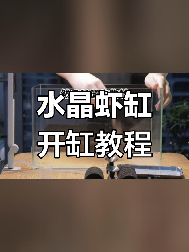 零基础水晶虾缸开缸全攻略