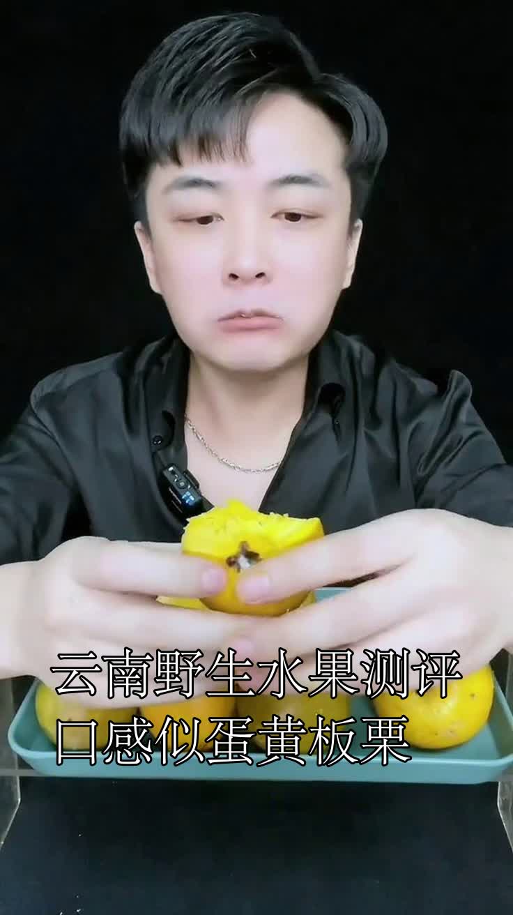 云南野生水果测评,口感似蛋黄板栗