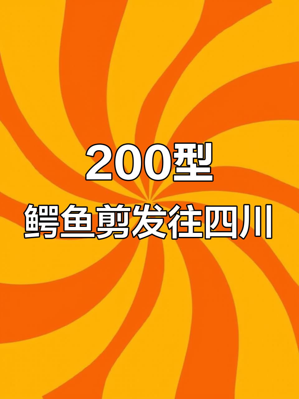 四川鳄鱼剪助力,轻松赚钱!