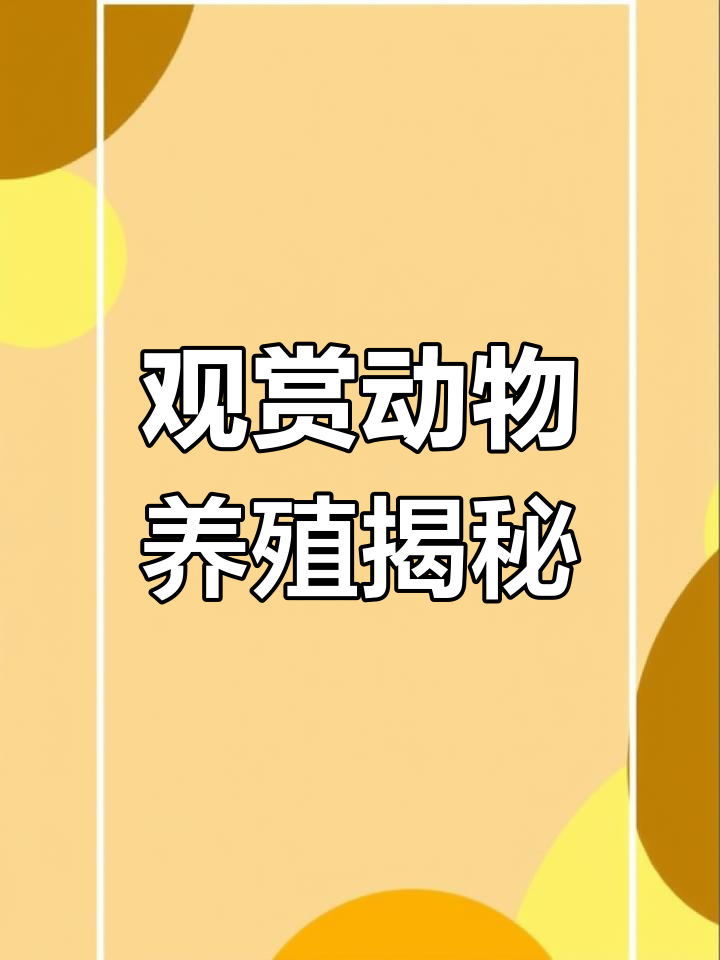 特种养殖:呱呱鸡、鹧鸪与绿色石鸡的魅力