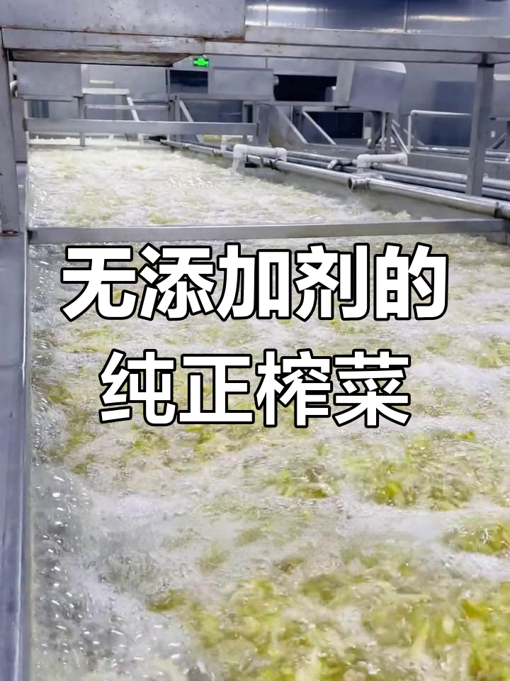 重庆涪陵榨菜的生产工艺揭秘