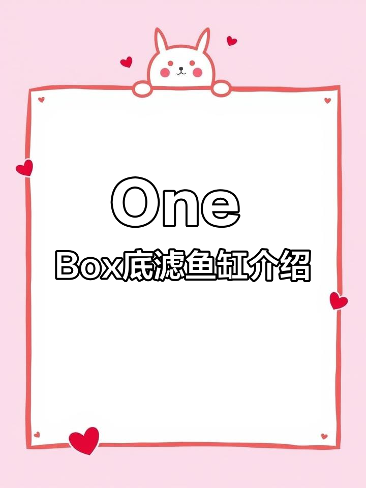 全新One Box底滤鱼缸设计揭秘,海水与淡水完美结合