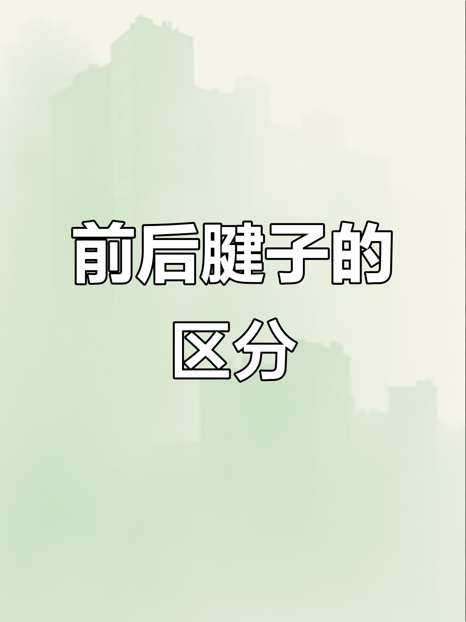 牛腱子前后区别大揭秘,红烧卤制选哪种更合适?