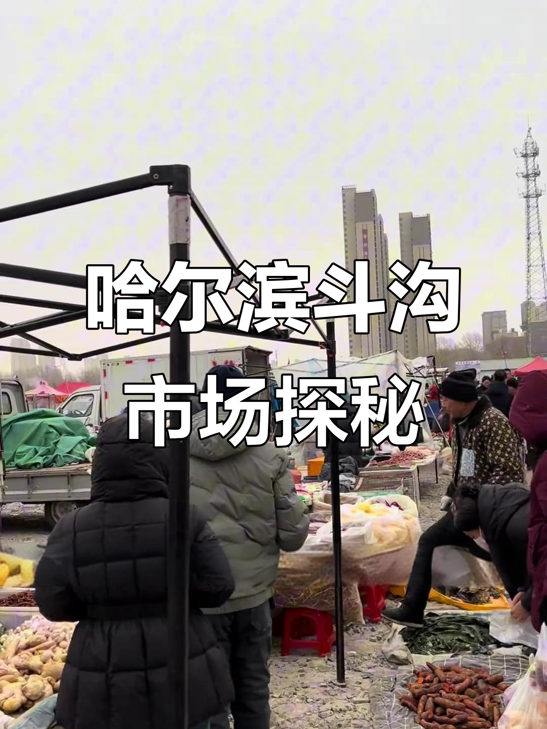 哈尔滨斗沟大集:牛羊肉、驴肉价格一览,小鸡大鹅也来凑热闹