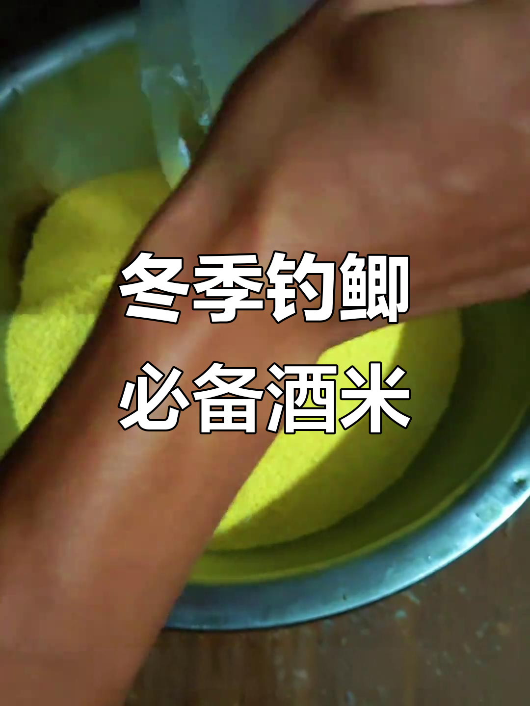 冬季鲫鱼诱饵制作秘籍，酒米配方大揭秘