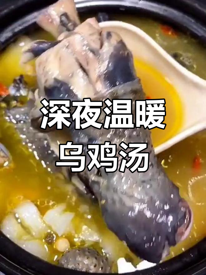 深夜治愈系乌鸡汤,暖心又美味