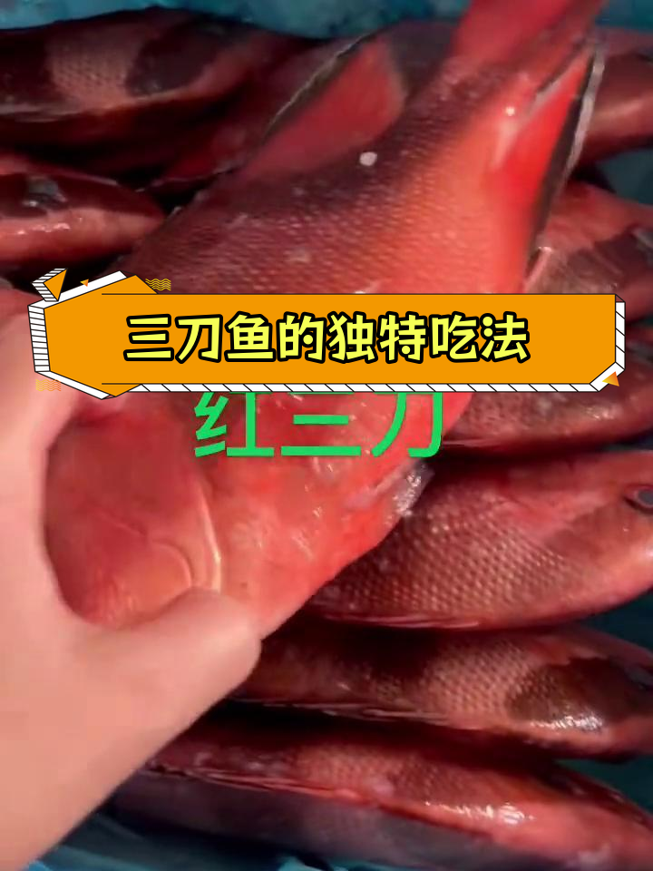 三刀鱼:香港与台湾的美味传统