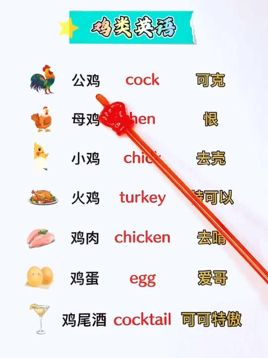 鸡类英语单词