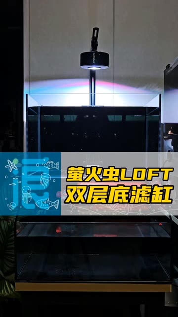 上面养鱼，下面可以养鱼养龟养螃蟹的萤火虫loft双层底滤缸