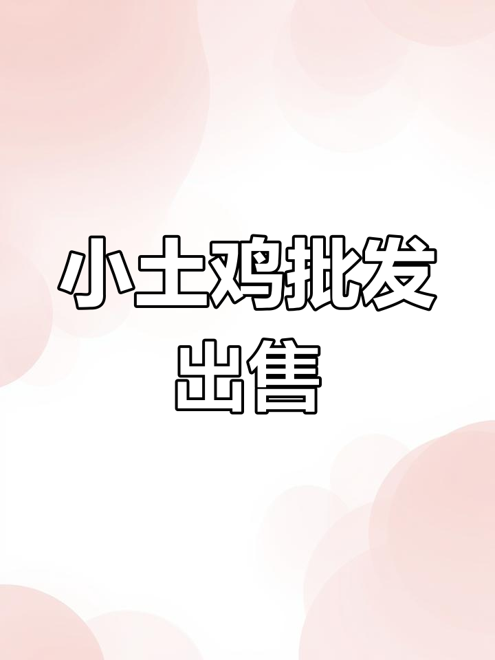土鸡苗批发,优质小土鸡一万多只等你拿