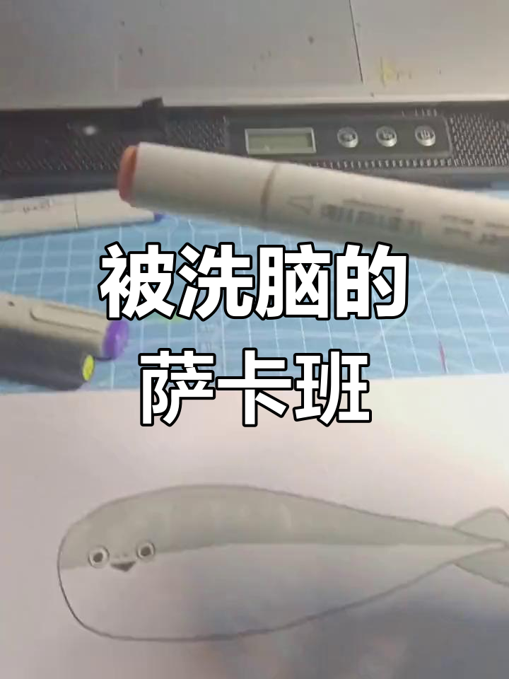 萨卡班甲鱼的一天,简笔画来袭