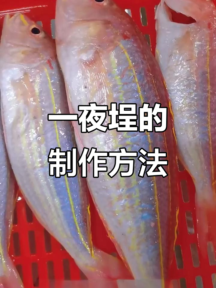 阳江特色一夜埕制作揭秘,海盐腌制的美味秘诀