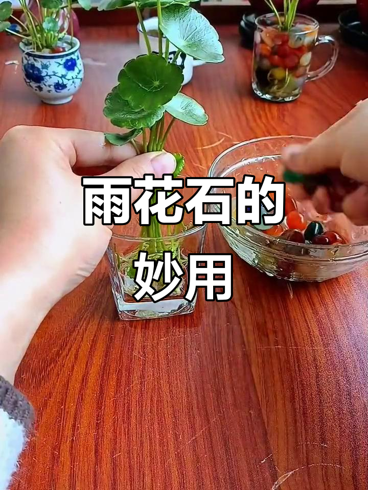雨花石既可装饰水培,又能点缀鱼缸,摆放哪都显得精致!