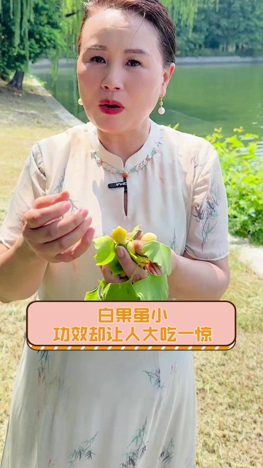 白果虽小,功效却让人大吃一惊