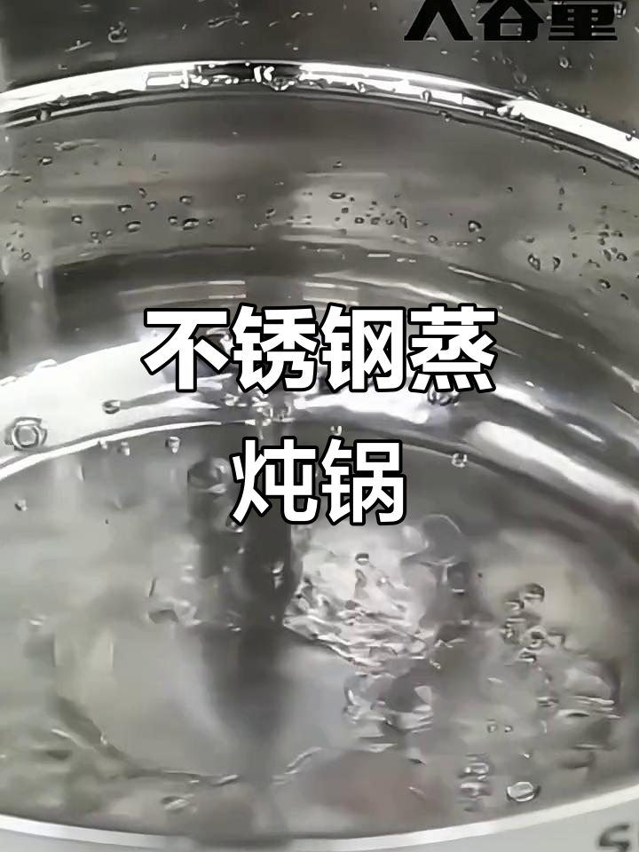 苏泊尔蒸炖一体锅，304不锈钢大汤锅，燃气电磁炉通用
