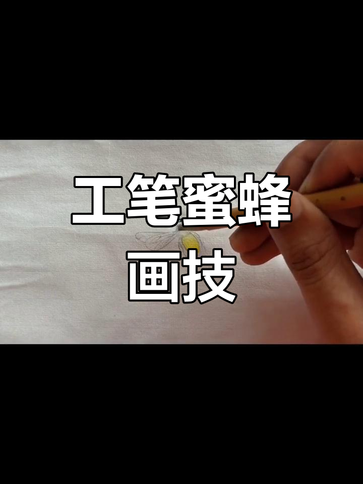 蜜蜂工笔画法,湿染技巧全解析,染色步骤轻松掌握