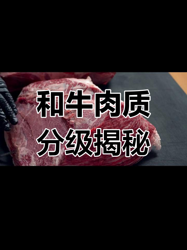 了解澳洲和牛的等级划分,M8、M9到底有多高级?