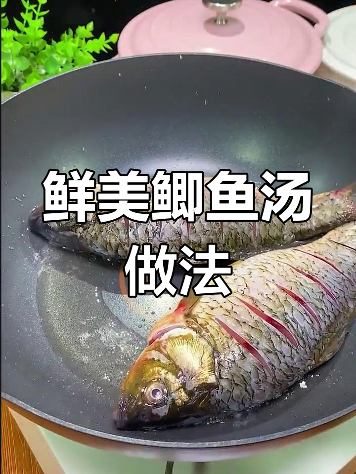 冬季暖心鲫鱼汤,搭配菌菇豆腐营养满分