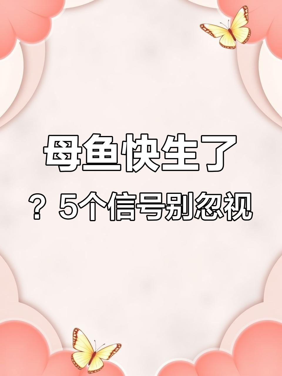 孔雀鱼生产前兆全解析,新手必看!