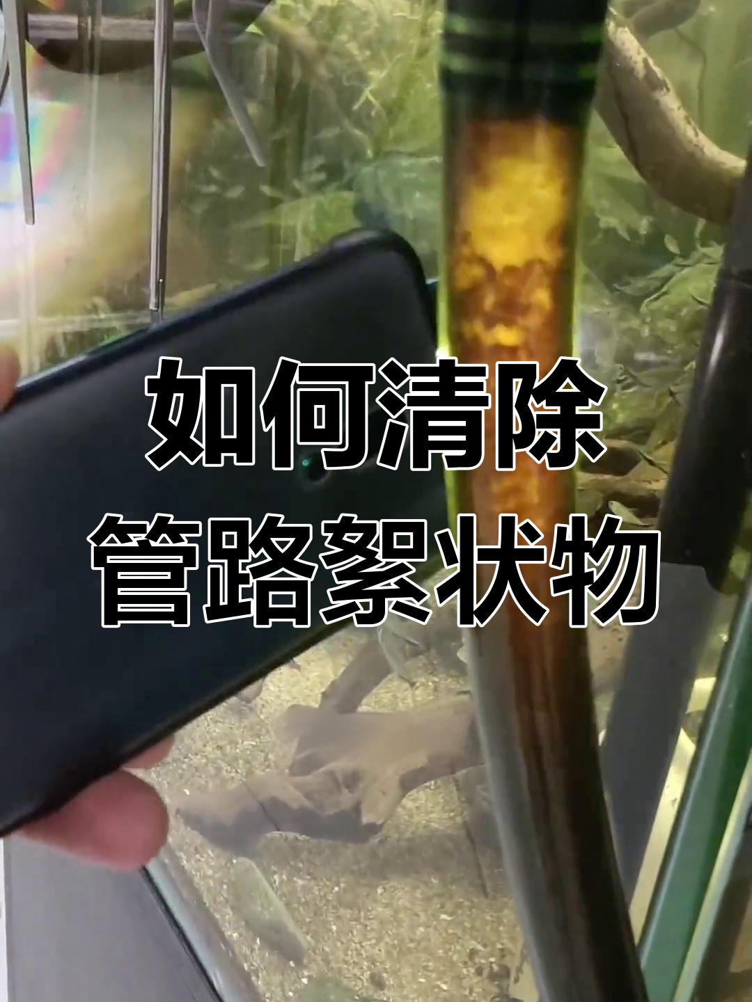 鱼缸管道清理技巧