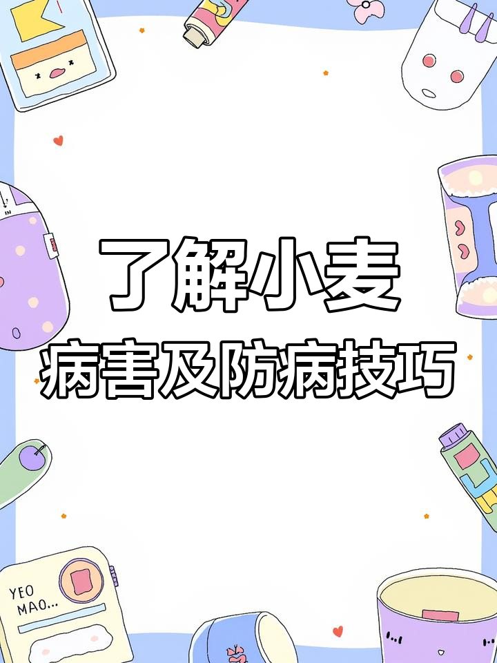 小麦常见病害全解析:15种病原菌与防治方法