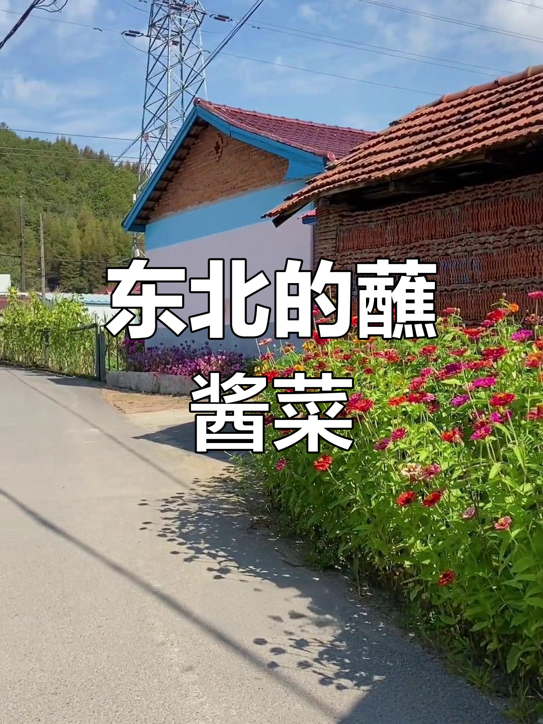 东北蘸酱菜:从婆婆丁到水饭,吃的是家乡味