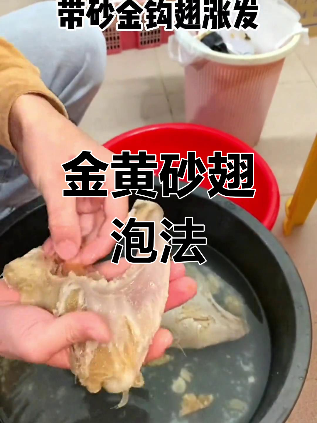 鱼翅泡发全流程,轻松去腥
