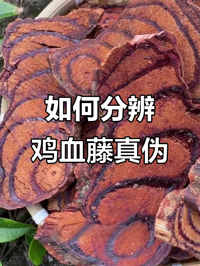 鸡血藤真假难辨,教你如何挑选正宗产品