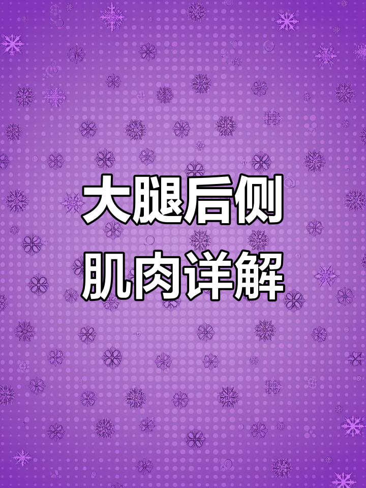 了解大腿内侧肌肉：半健肌与瓣膜肌的功能解析