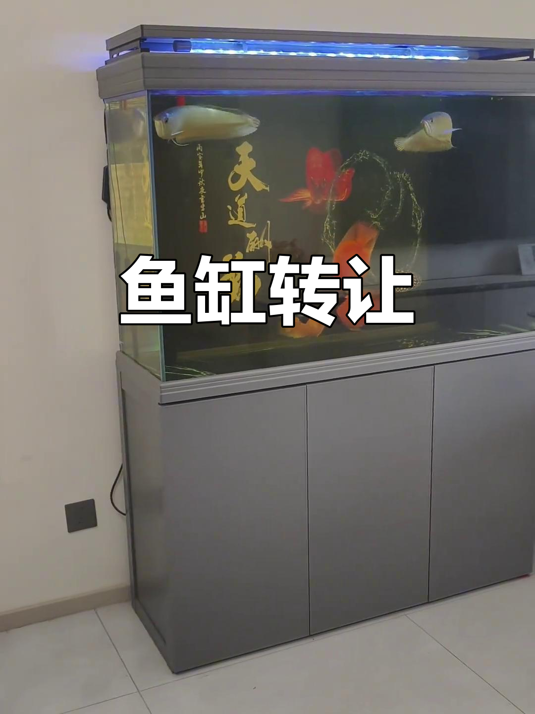 隆尧县鱼缸转让,一米二长九成新,价格面议