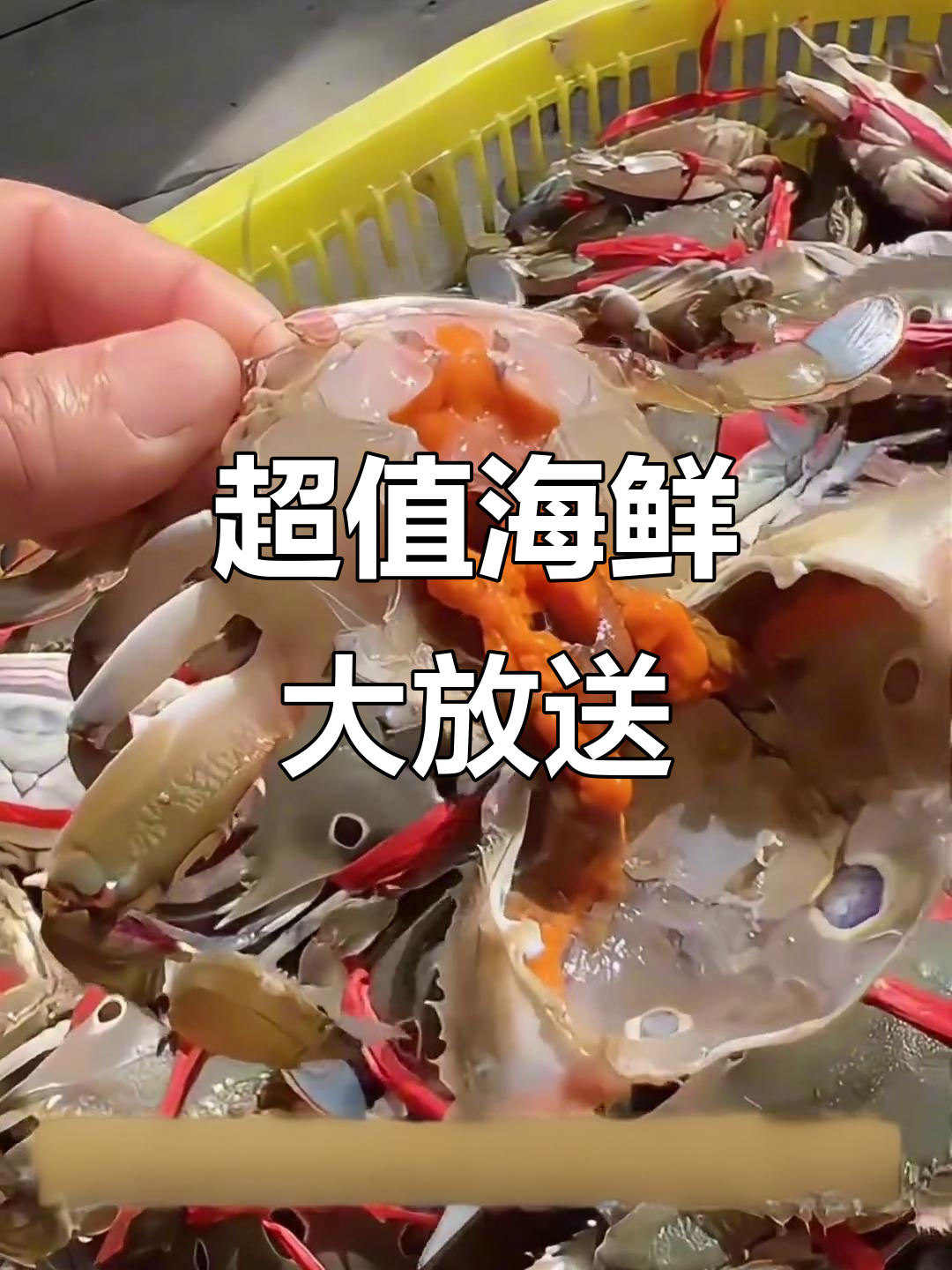 海鲜市场每日更新，东星斑、黑虎虾等超值好货不容错过