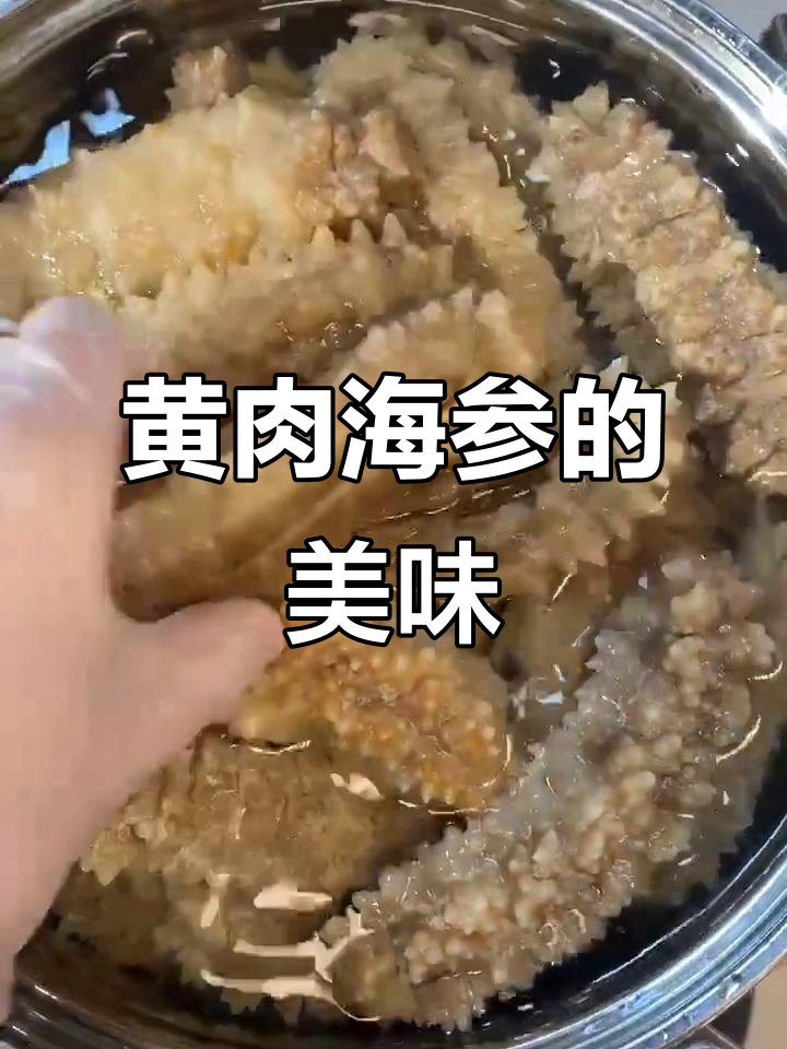 黄肉海参的独特魅力,中外人士都爱不释手