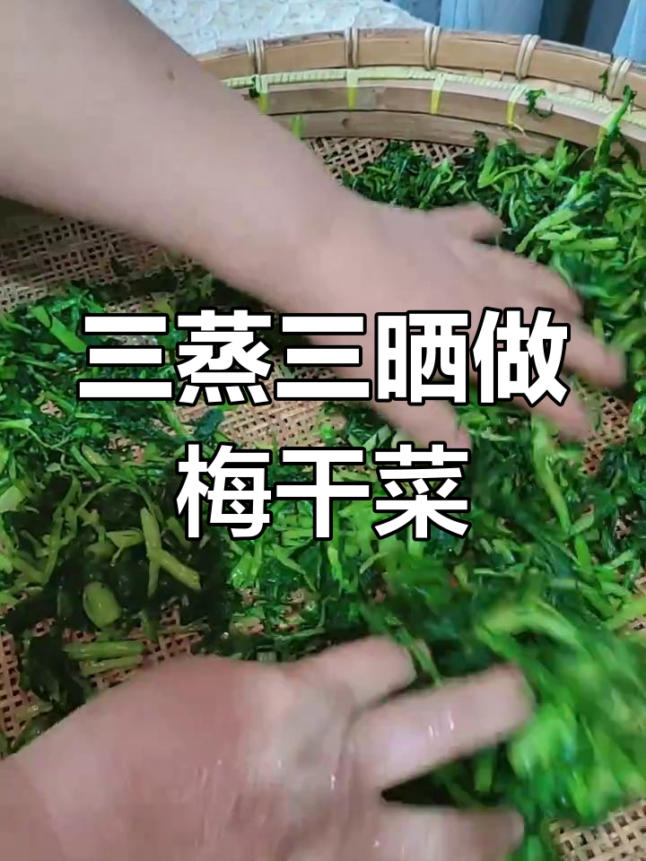 雪里红梅干菜制作秘籍,三蒸三晒让口感更佳