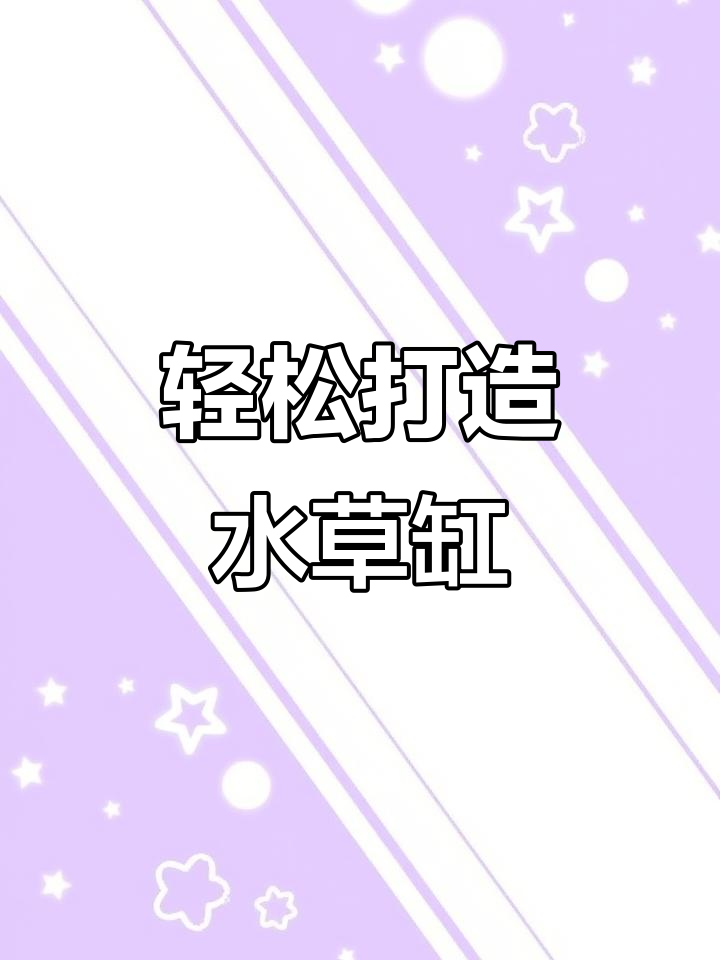 水草缸种植全攻略:从种子到小鱼的完美生态体验