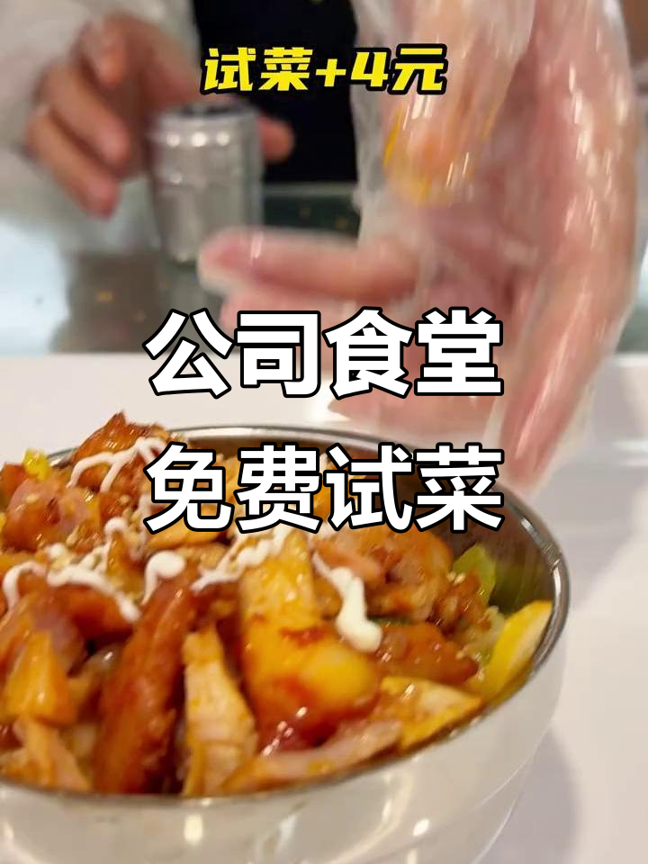 在公司免费试菜,土耳其烤肉拌饭太香了!