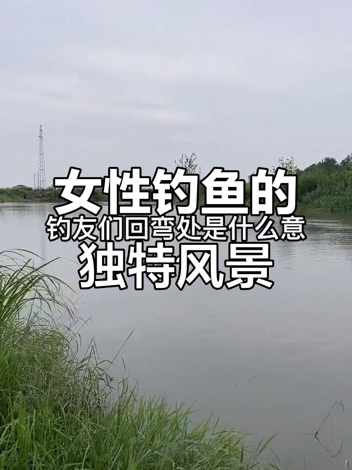 钓鱼场上,唯一的女性身影,真是勇气可嘉!