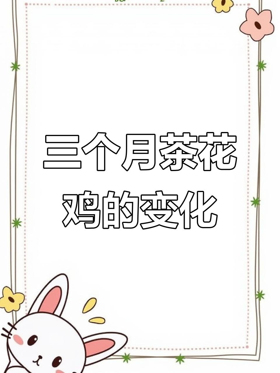 茶花鸡三个月变化大揭秘，从小小雏鸟到羽毛丰满的成长历程