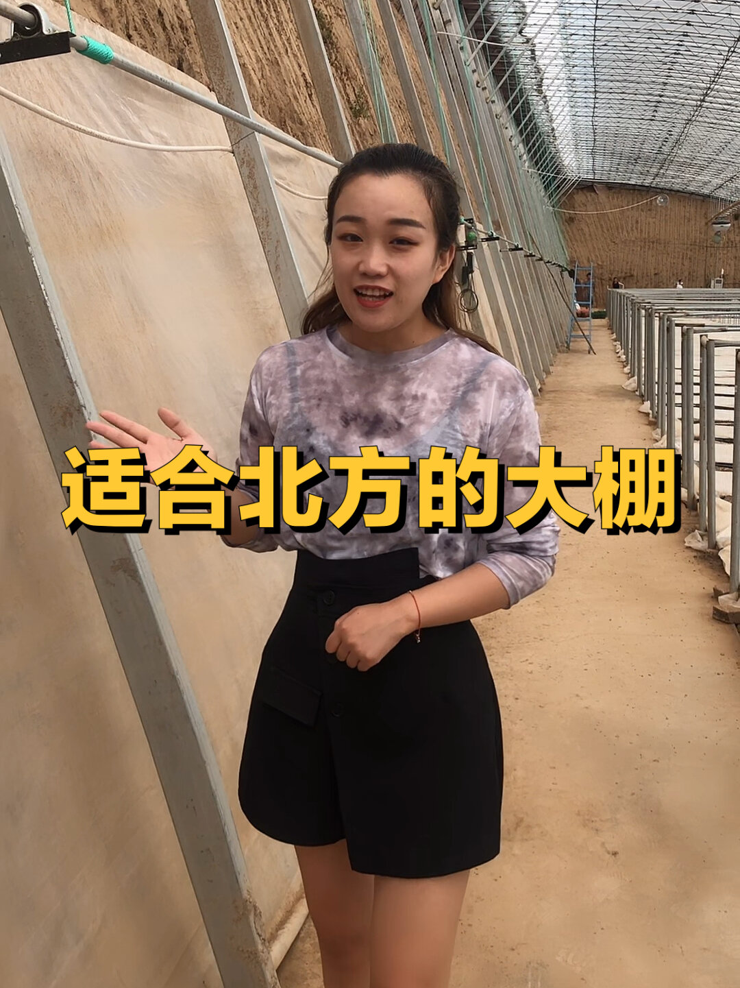 北方的冬暖式大棚